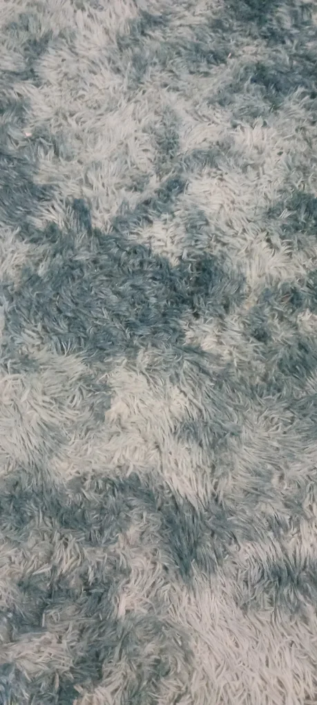 Soft Teal Fluffy shaggy Rug $35 image indicator(2)