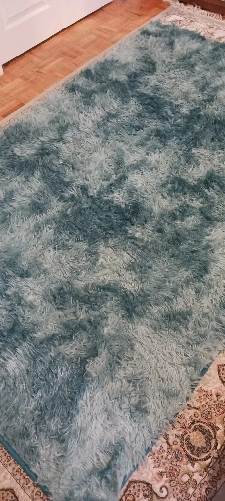 Soft Teal Fluffy shaggy Rug $35 image indicator(3)
