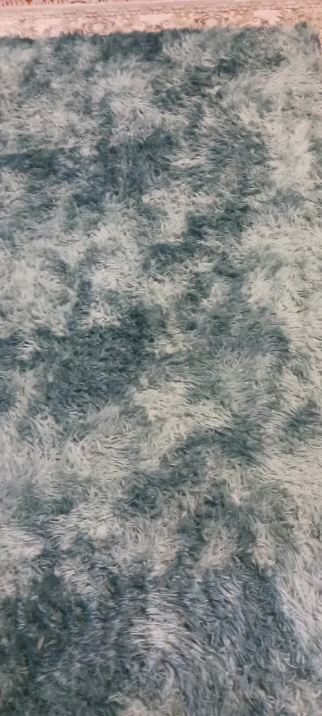 Soft Teal Fluffy shaggy Rug $35 image indicator(4)