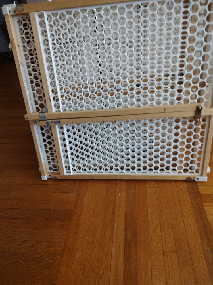 Safety 1st Wide Gate - photo 2