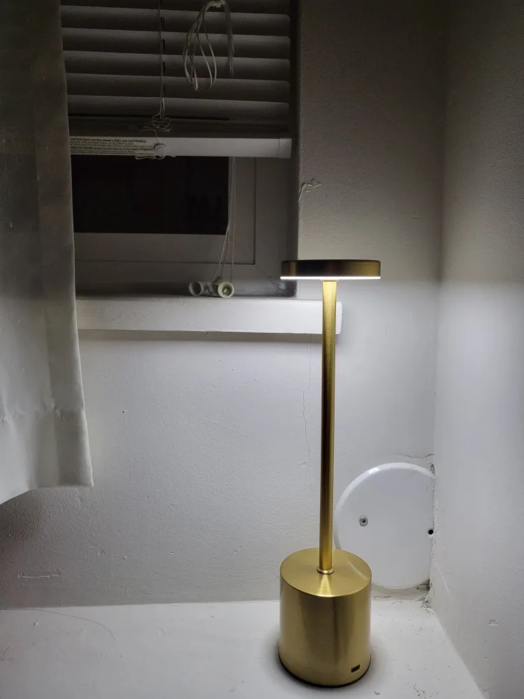 Modern LED Table Lamp - Brushed Steel or Gold Finish image indicator(2)