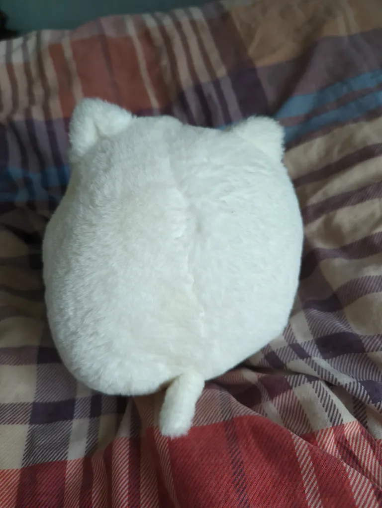 Adorable Avocado Cat Plush Toy image indicator(2)