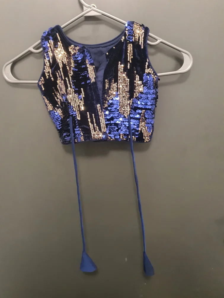 Blue Velvet & Sequin Choli and Skirt Set for Eid image indicator(2)