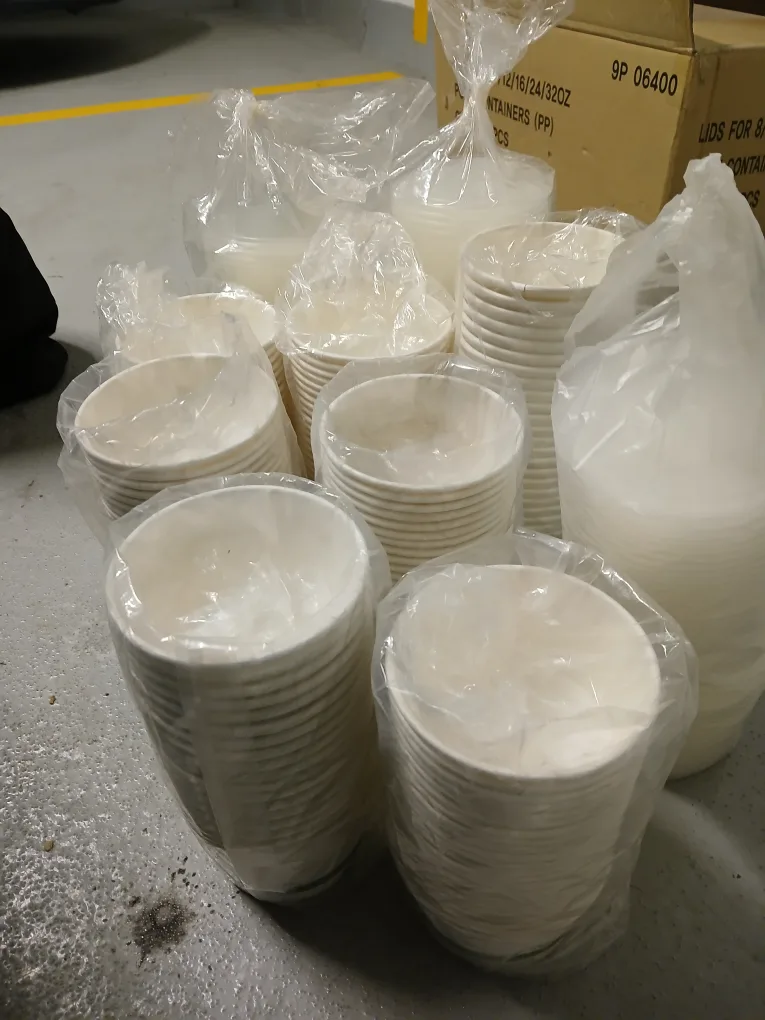 Bulk Package of Disposable Bowls thumbnail