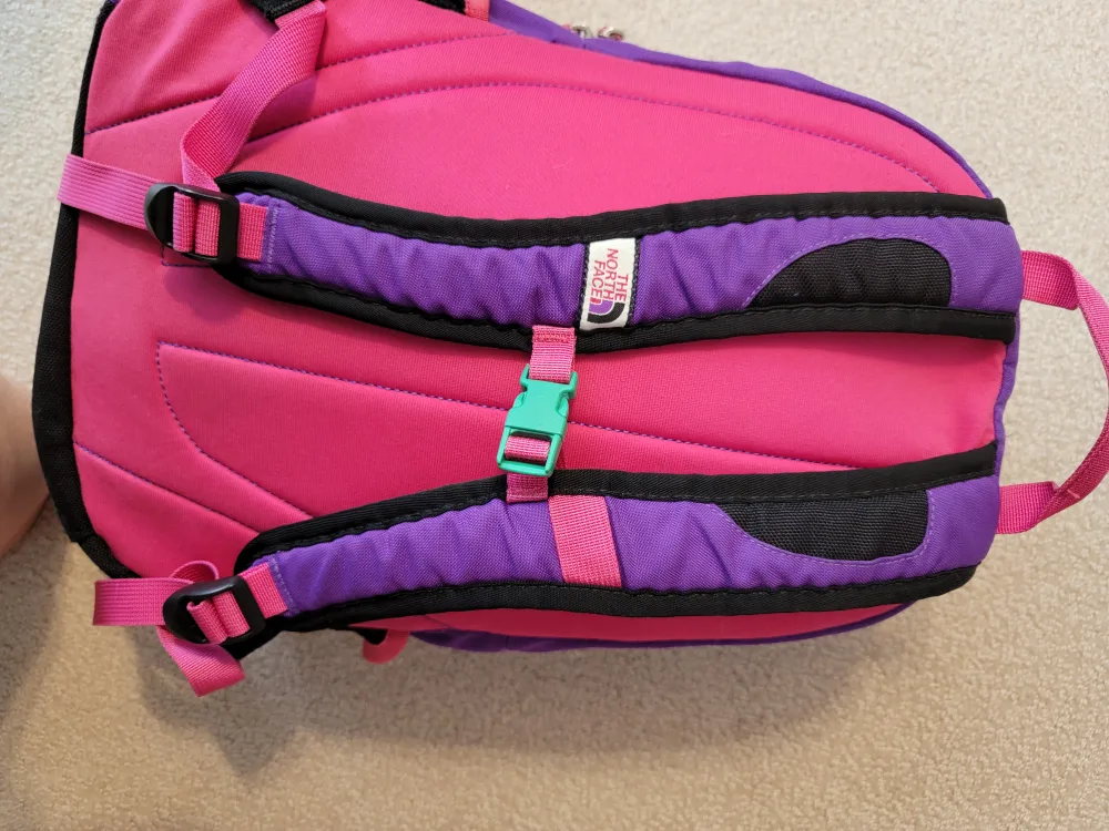 The North Face Recon Backpack - Purple and Pink image indicator(9)