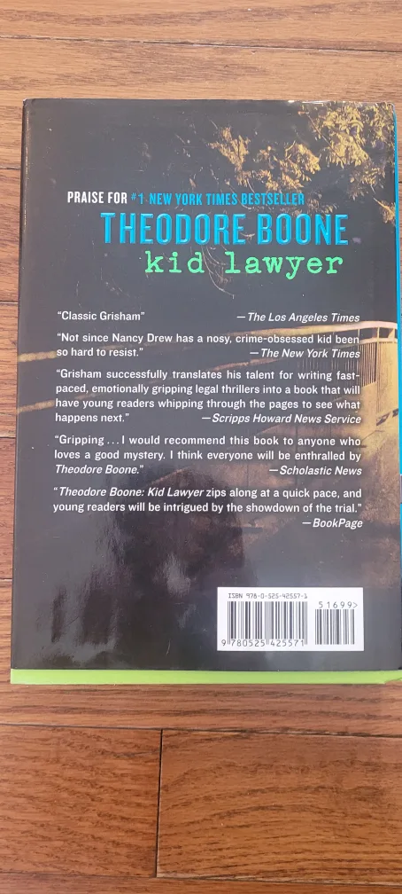 Theodore Boone: The Abduction by John Grisham image indicator(2)