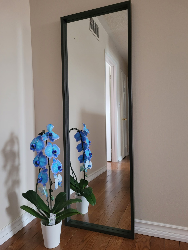 Full-Length Floor Mirror with Black Frame