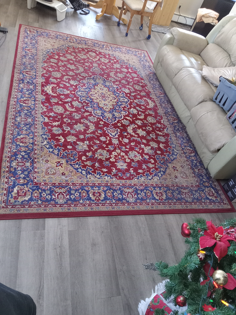 Large Red and Blue Oriental Rug - photo 2