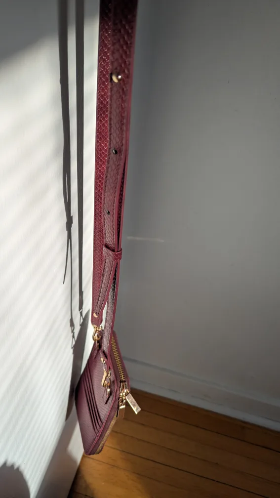 🥕 Love & Lore Burgundy Crossbody Bag image indicator(5)