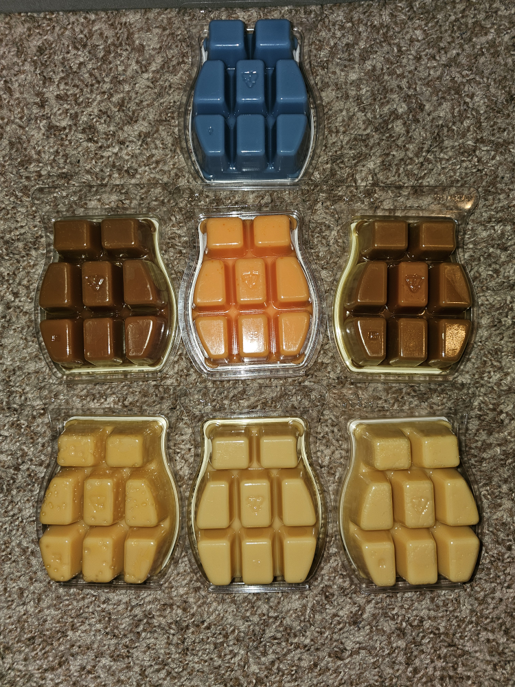 Scentsy Bars - photo 2