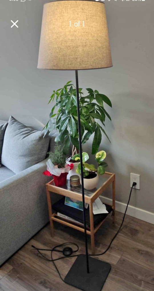 Floor Lamp with Fabric Shade