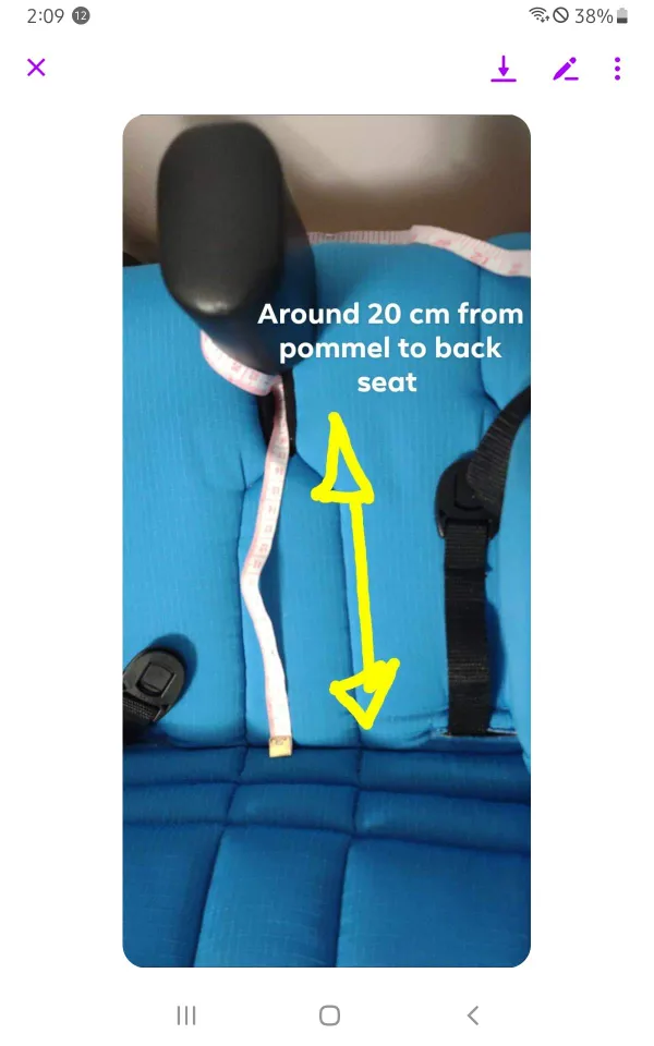 Stingray Special Needs Stroller - Blue image indicator(6)