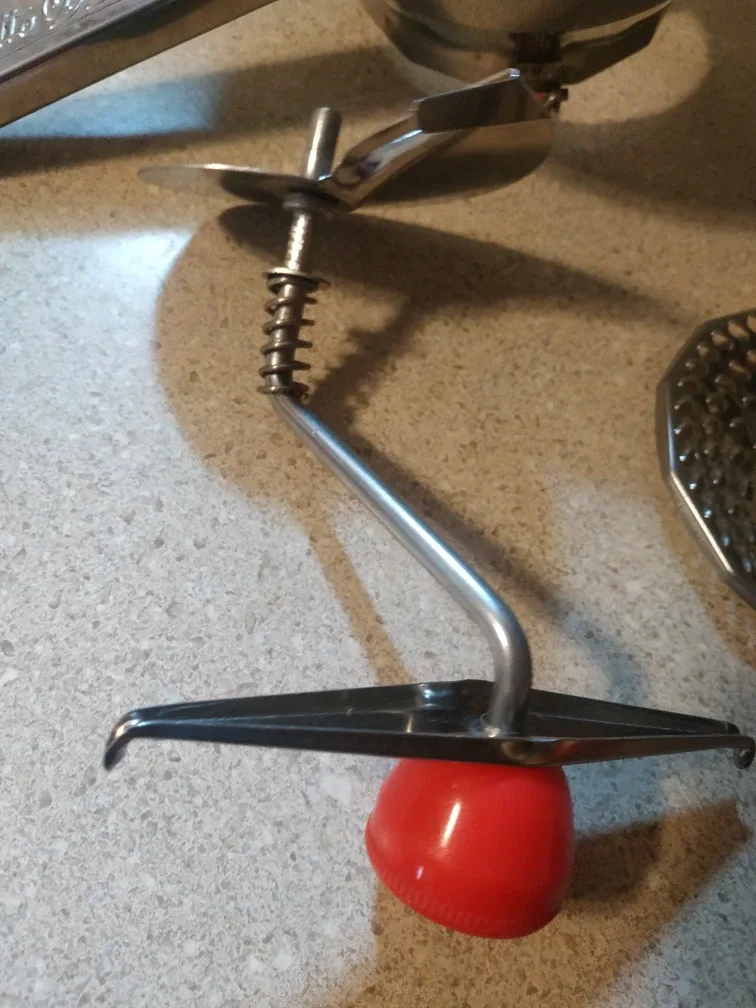 Passalacqua food mill with extra blades 🏈 image indicator(3)