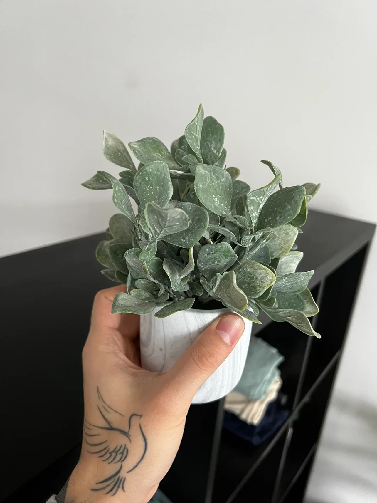 Artificial plant 3/5 image indicator(2)