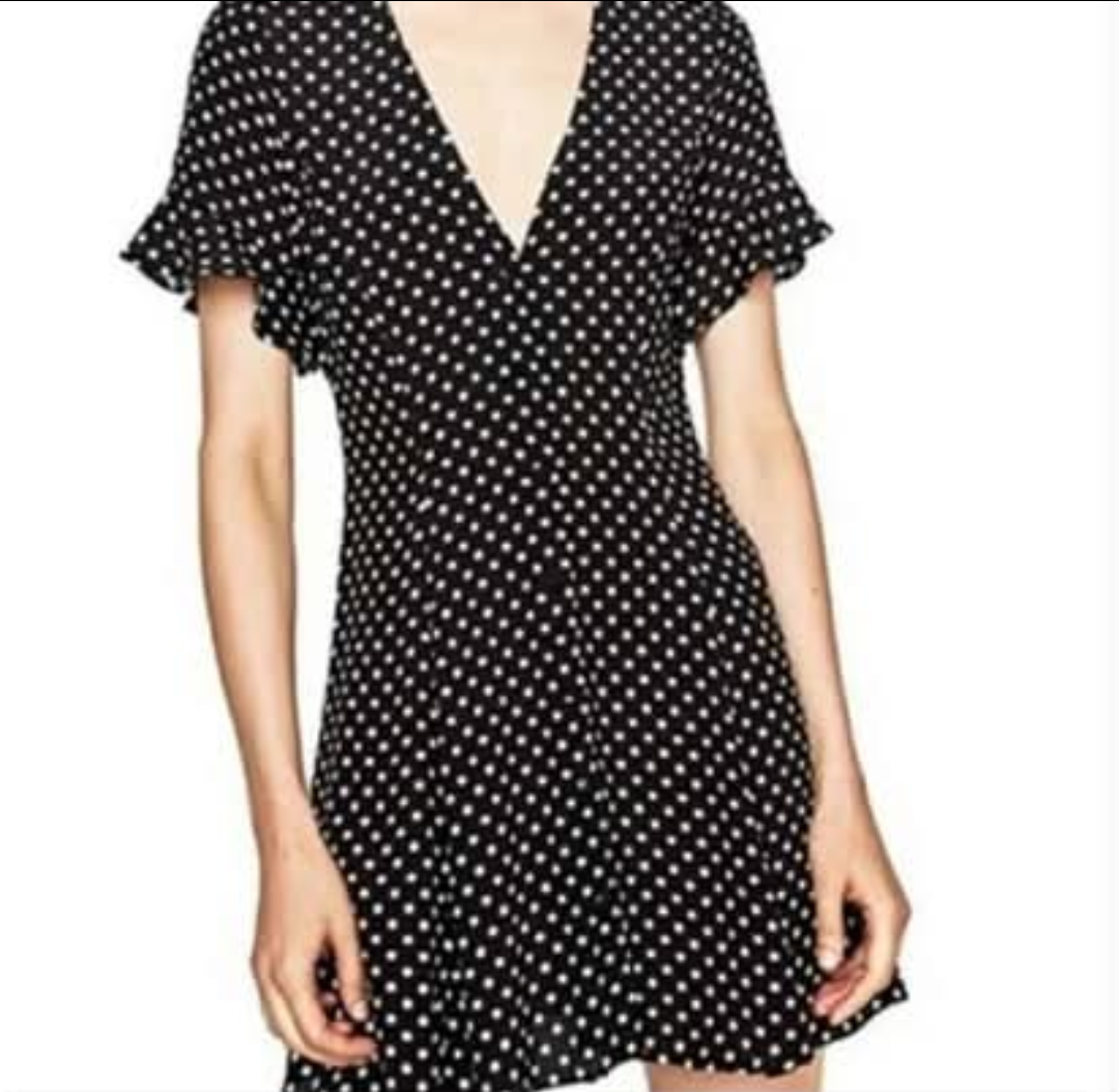 Zara Polka Dot Dress