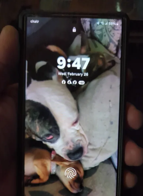 Samsung Galaxy S24 Ultra in Case - Screen Crack thumbnail