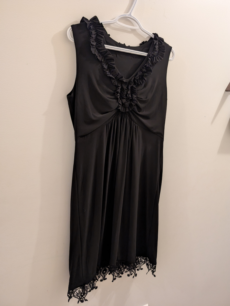 Black sleeveless dress with lace detail