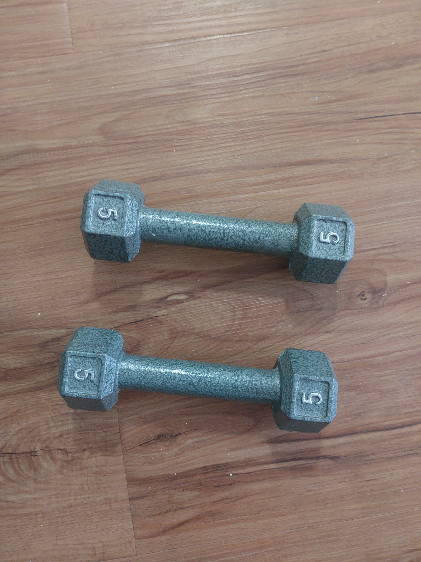 Pair of 5lb Dumbbells