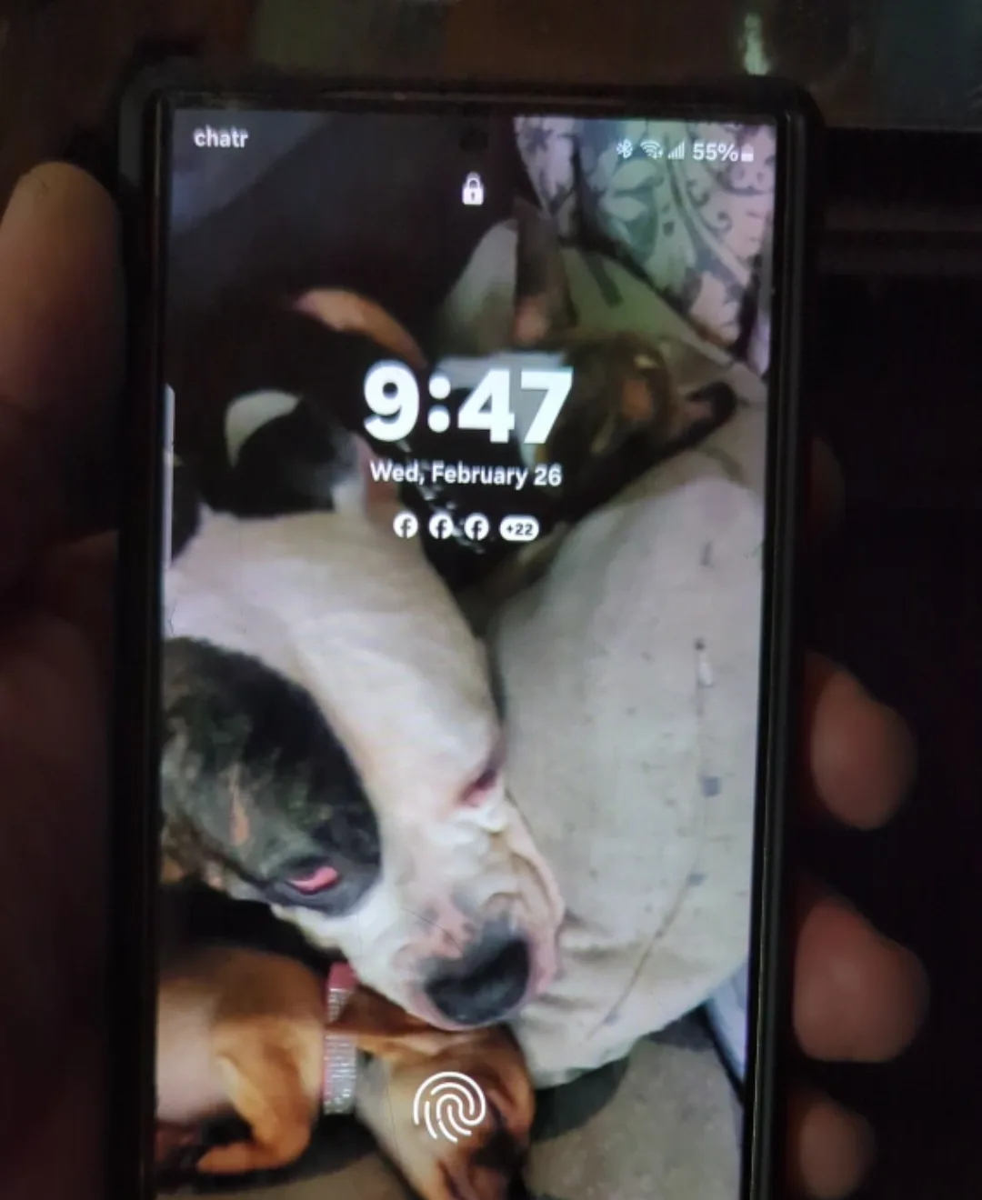 Samsung Galaxy S24 Ultra in Case - Screen Crack image indicator(5)