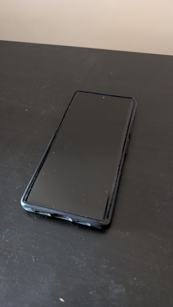 Google Pixel 6 Pro phone & case
