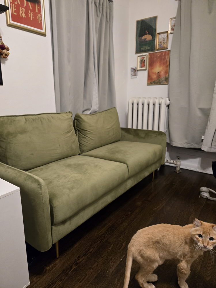 Green Velvet Sofa