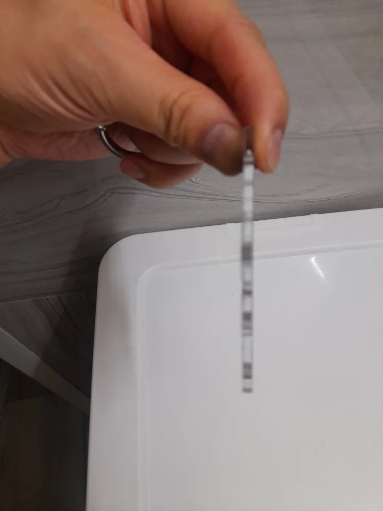 Labubu  Keychain Bag Charm image indicator(4)