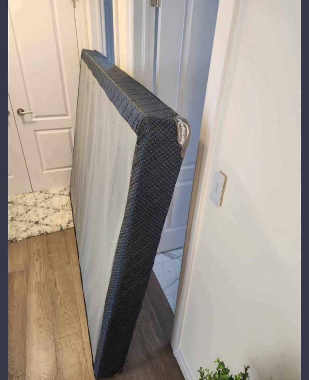 Springwall Box Spring - Queen