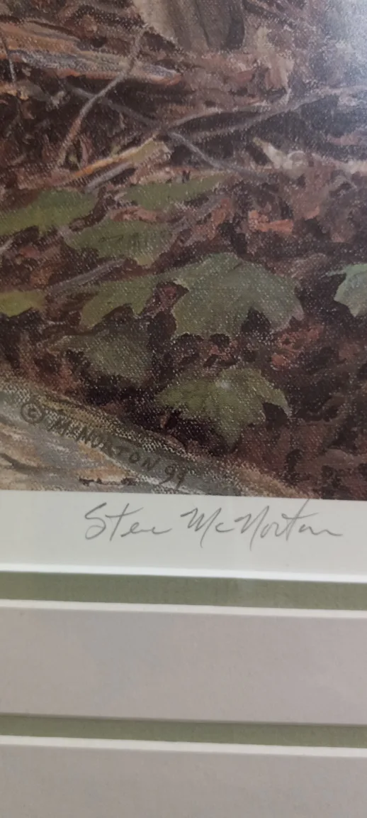 Steve McNorton limited edition print image indicator(3)