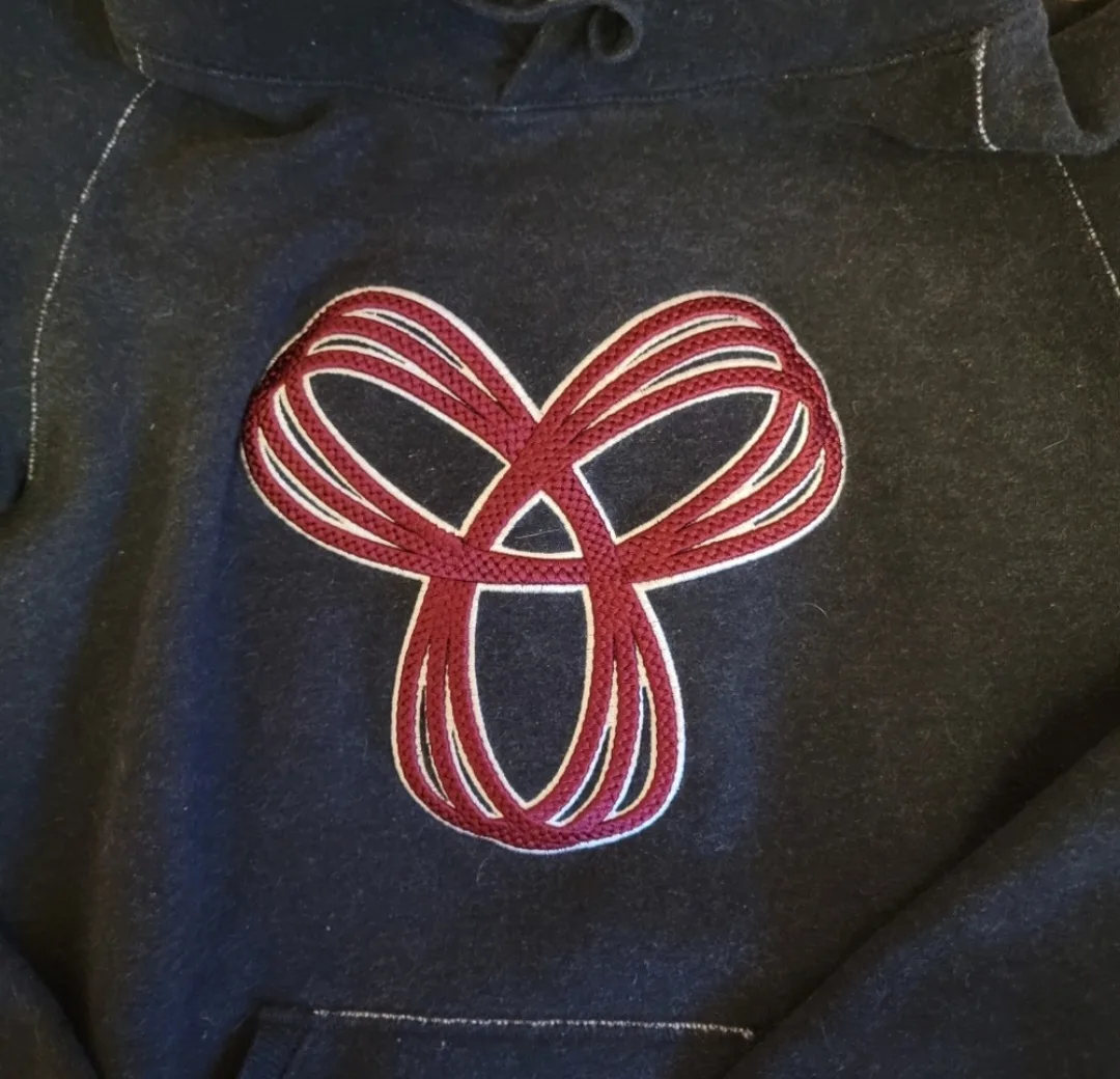 Aritzia TNA Baltic Hoodie image indicator(2)