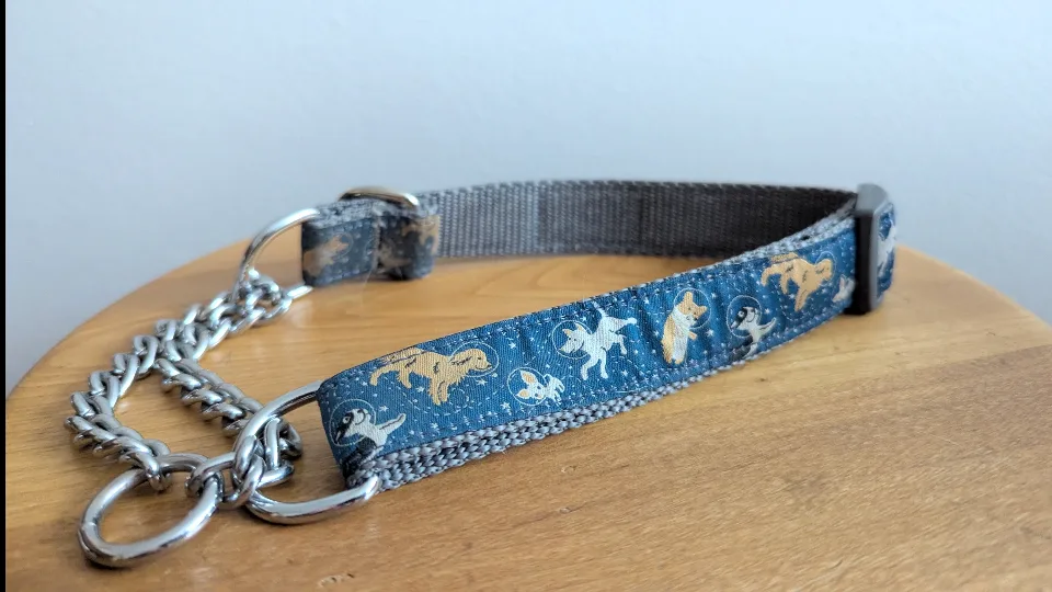 🥕 RC Pets Dog Collar - Medium, Blue Space Dogs Design image indicator(3)