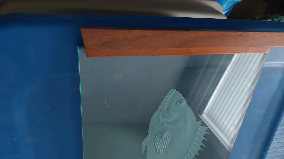 Etched Glass Fish Decor image indicator(2)