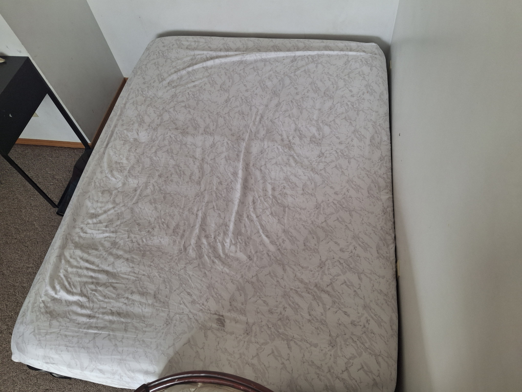 Free items: queen bed and box spring with wooden chest - photo 3