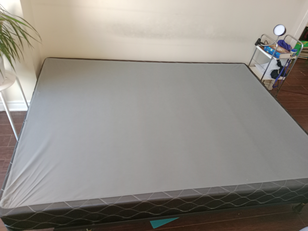 MUST Go SALE  Both Queen Box Spring , metal frame