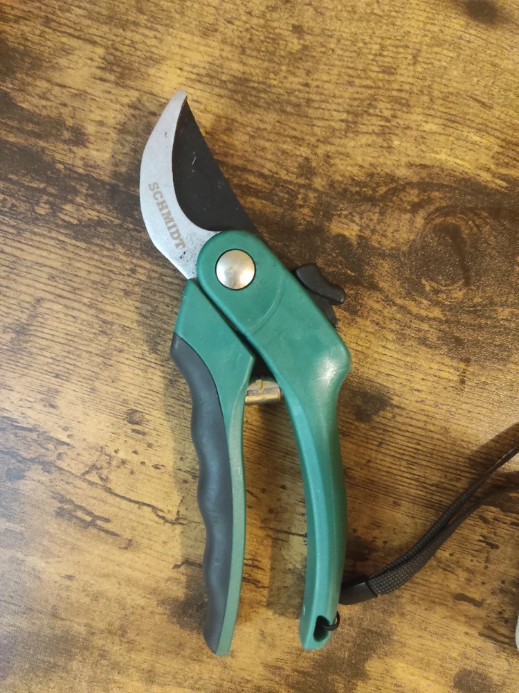 Gardening Supplies: food plant, Garden Spray, pruner - photo 5