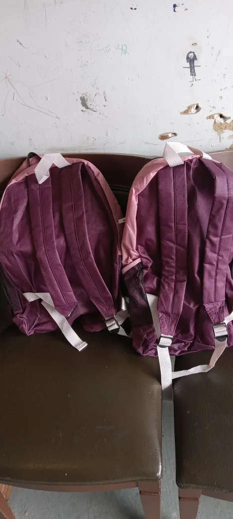 High Sierra Backpacks - Pink/Purple - Two Available image indicator(3)