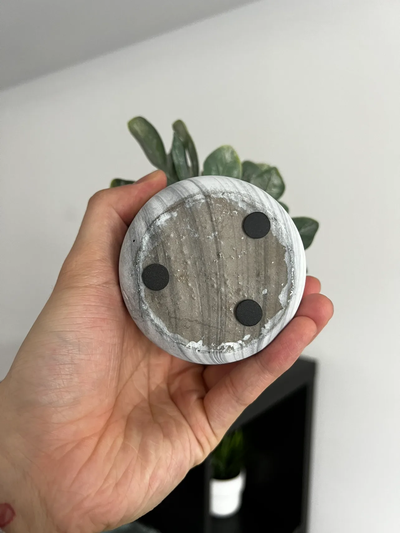 Artificial plant 3/5 image indicator(3)