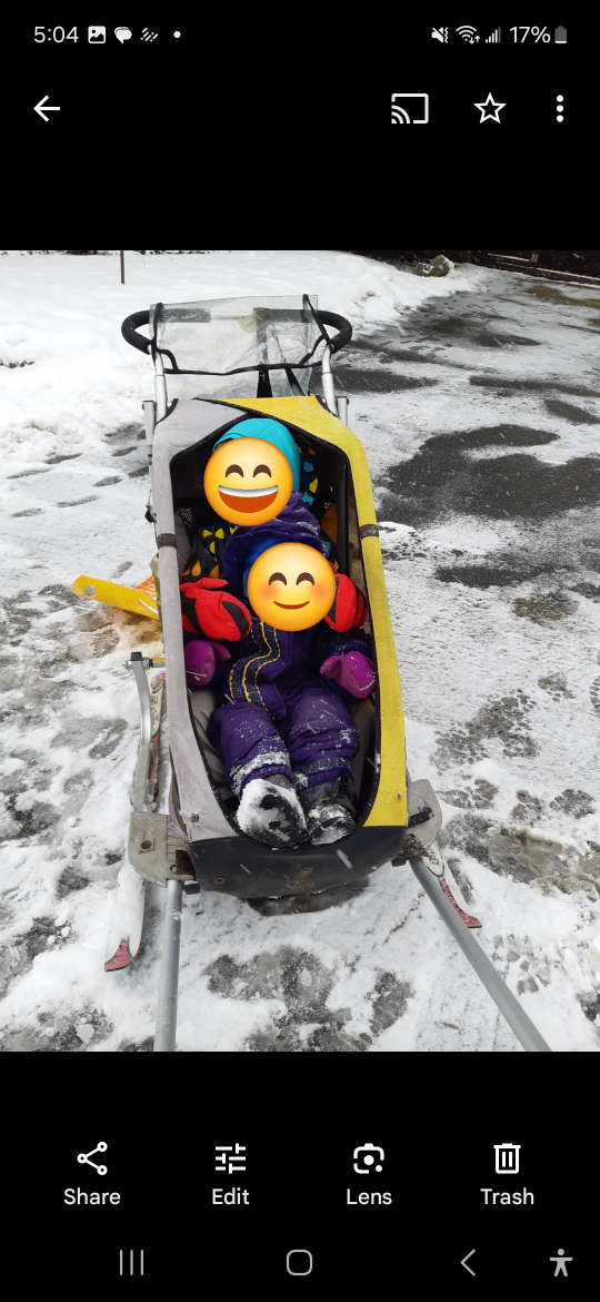 Chariot Cougar 1 Child Bike Trailer - photo 3