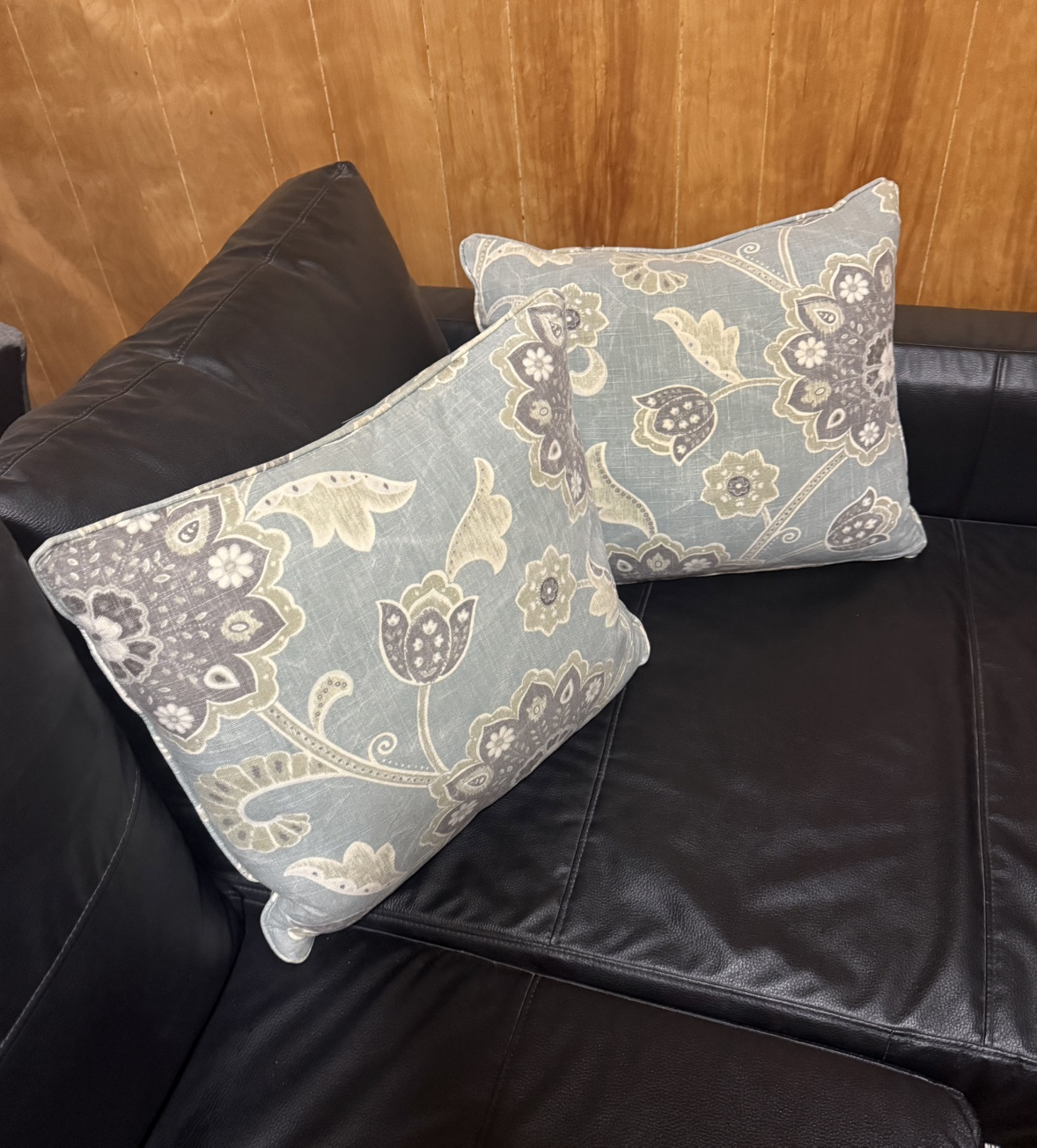 Pair of Decorative Throw Pillows