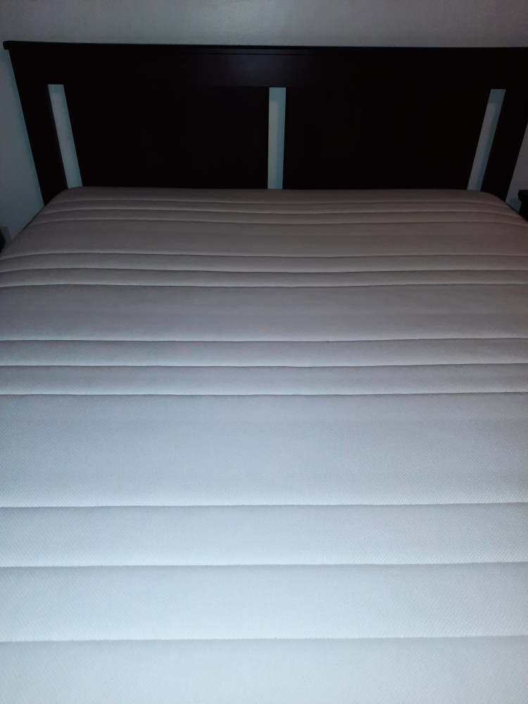 IKEA SONGESAND Bed Frame with Mattresses - photo 3