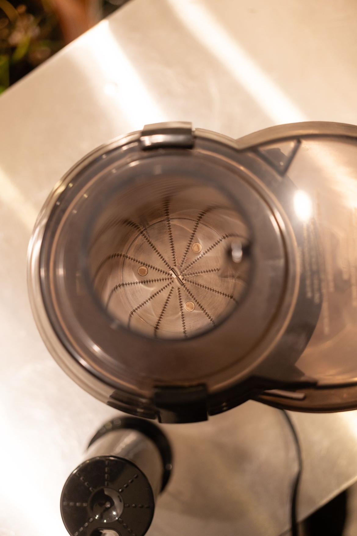 Juicer - photo 5