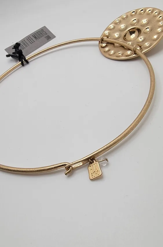 Soho Gold Shield Pendant Wire Collar Necklace – 17” 🏈 image indicator(7)