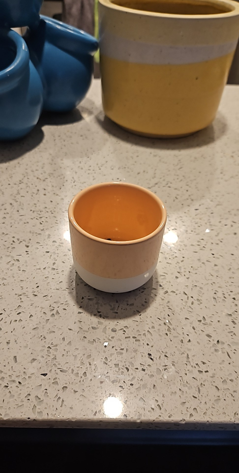 Small Two-Tone Ceramic Planter