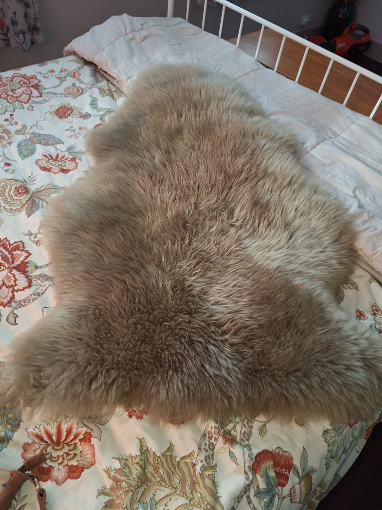 Windward Sheepskin Rug - Taupe