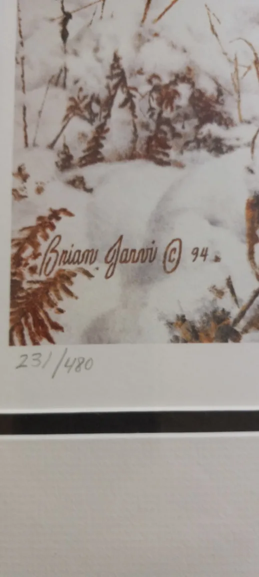 Brian Jarvi limited edition print image indicator(3)