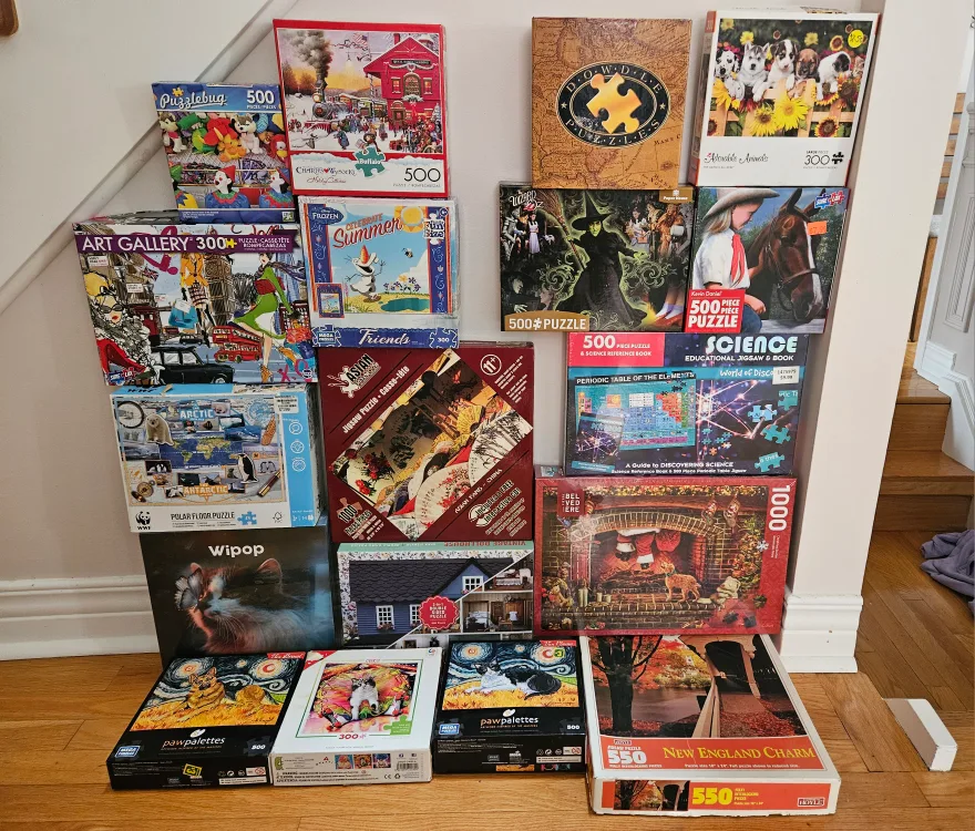 Bulk Jigsaw Puzzles - Variety of Sizes and Themes! image indicator(2)