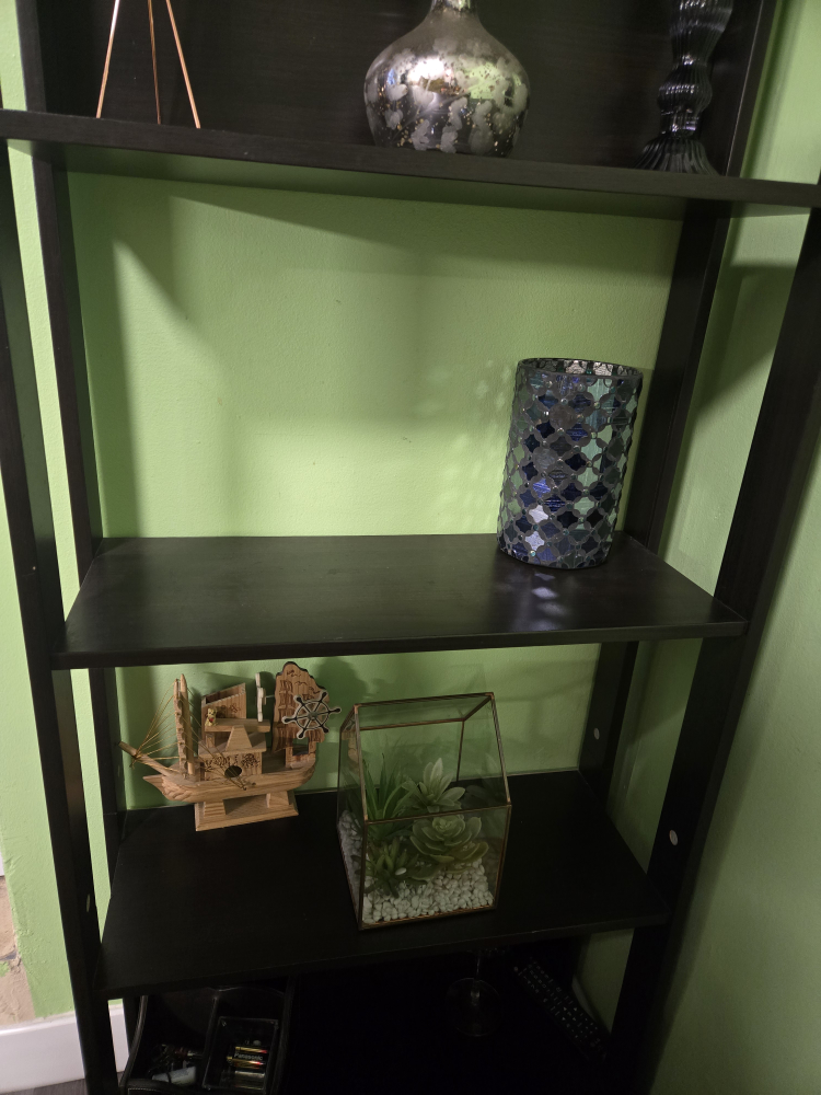 Tall Black Bookshelf/Storage Unit