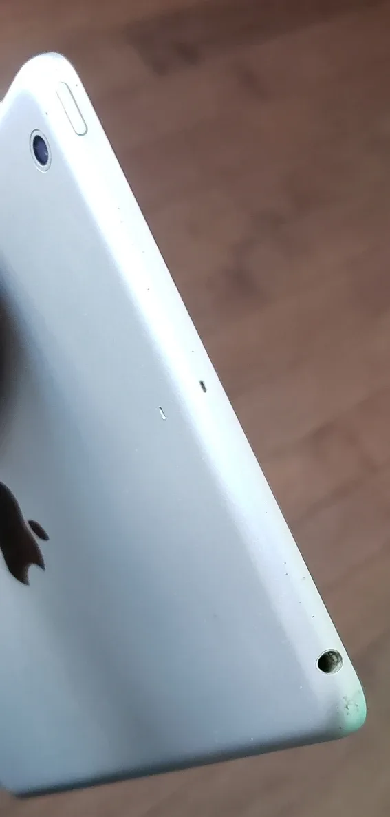 iPad mini 2 - 16GB - Silver image indicator(7)