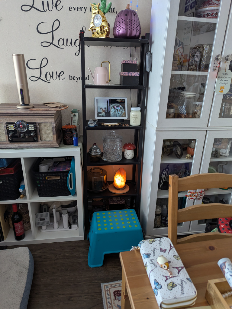 Pair of Black Ladder Shelves - photo 2