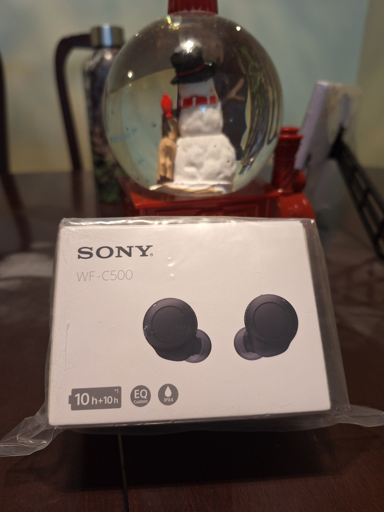 Sony WF-C500 Wireless Earbuds - Black