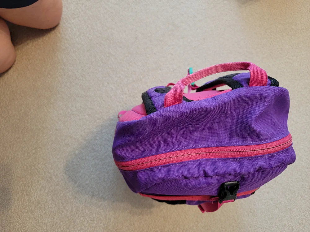 The North Face Recon Backpack - Purple and Pink image indicator(5)